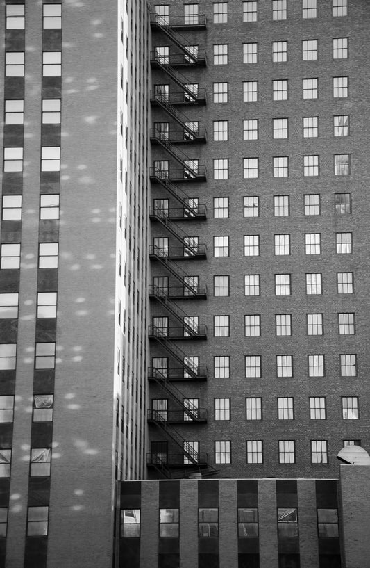 "Order in the Quiet" (Limited edition) by Aubrey Guzman, 11x14 inkjet print, fine art paper